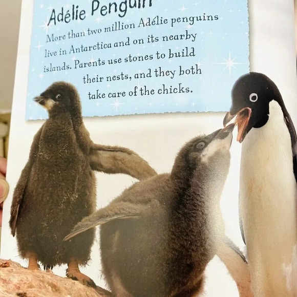 I LOVE SNOW BABIES Book Explore Over 40 Ice and Snow Adorable Animal Babies - Picture 4 of 5